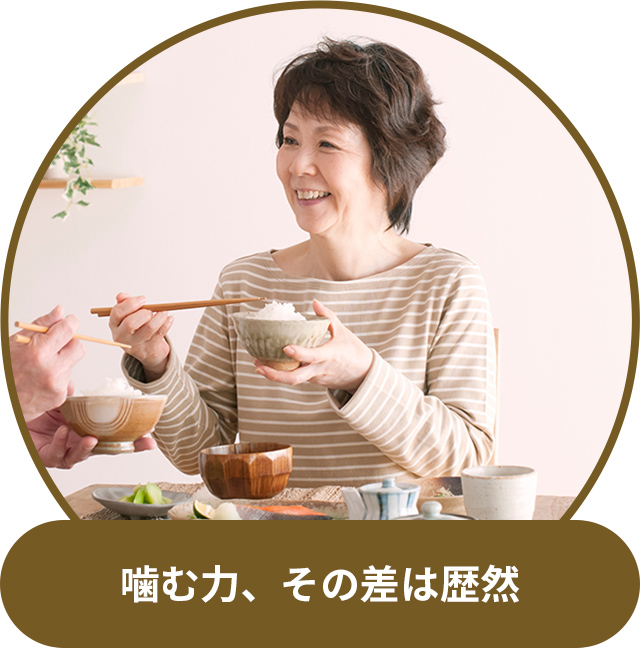 噛む力、その差は歴然