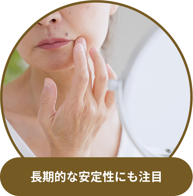 長期的な安定性にも注目