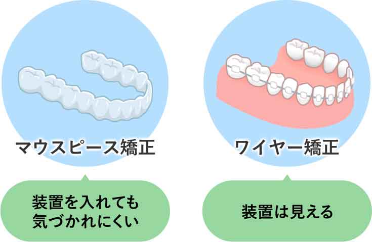 見た目